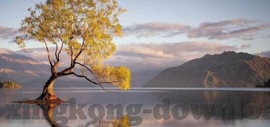 4场足球比分-四场足球比分背后的风云变幻，激情与策略的交响曲