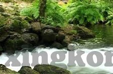 足球巴塞罗那比分-巴塞罗那，从逆境中绽放的王者之师，最新比分背后的战术革命与团队精神