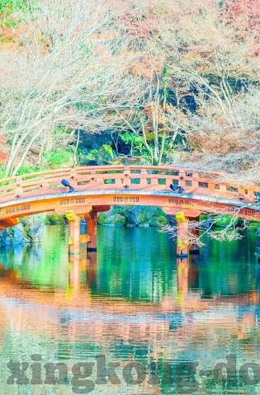 足球比分进球榜-足球比分进球榜，绿茵烽火中的英雄荣耀榜