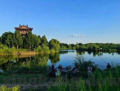 足球竞猜直播比分直播-实时追踪绿茵激情，足球竞猜直播与比分直播的完美融合